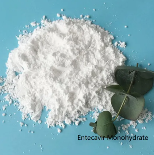 GMP Standard Entecavir Hydrate Entecavir Monohydrate CAS 209216-23-9 99% Purity