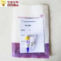 2x 1ml mais a mistura mestra rápida P2031 P2032 do PCR da alta fidelidade