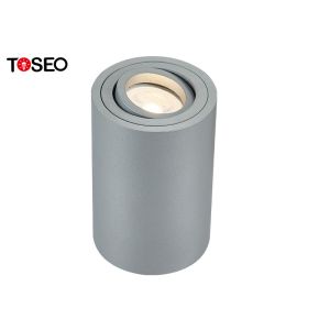 Surface Mounted Downlight