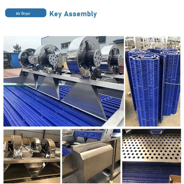 Industrial Water Cycle Vegetable And Fruit Washing Machine for Fruit Processing Plant