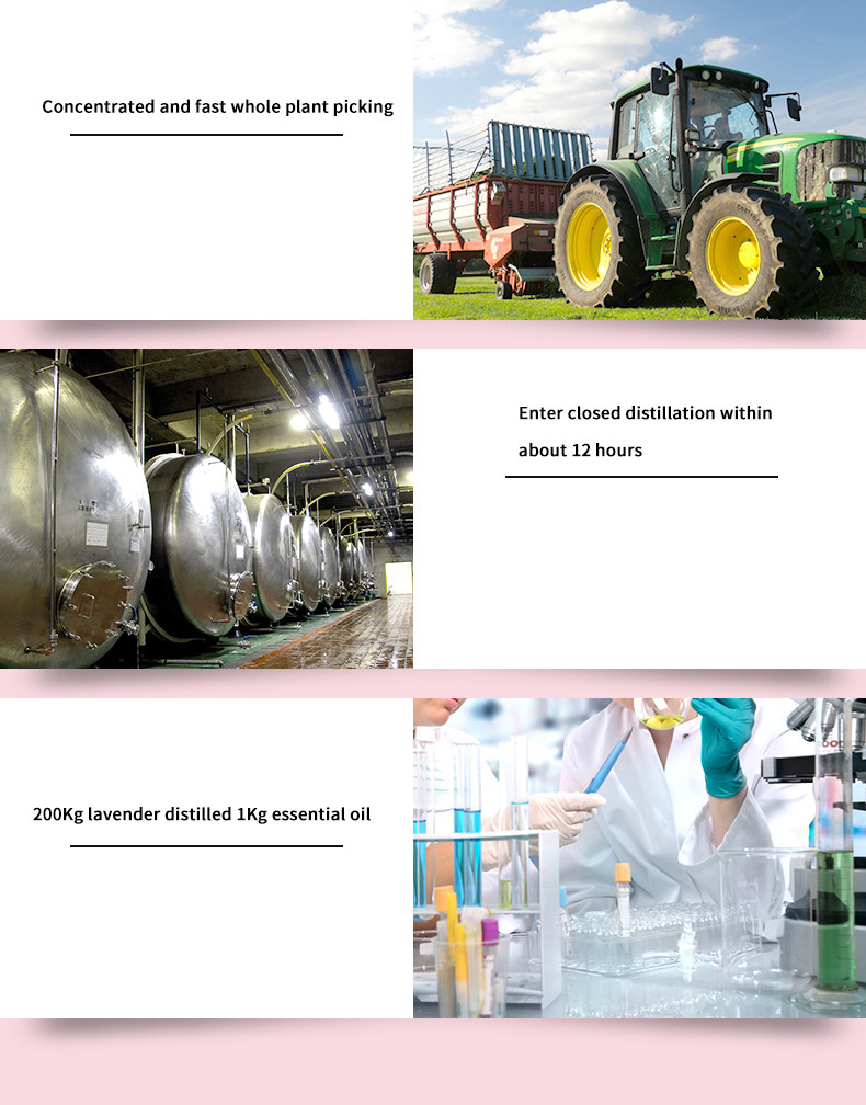 Отражетель благоуханием роскошного отеля, отражетель Dituo 200ml не токсический Reed