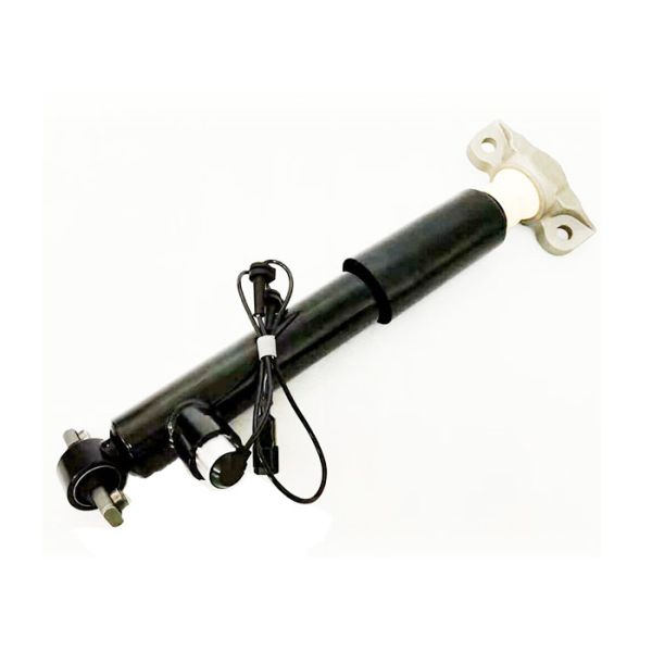 G3GZ18124N AST24745 Full Set Front Rear Shock Strut Assembly For Lincoln Continental 2017-2020