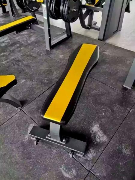 Gym Equipment Commercial Fitness Bench Press Free Weights Flat Benches