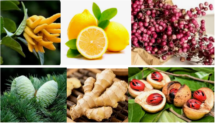 Concentrated Perfume Oil Fragrance For Perfume Making Fast Delivery