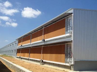 Metal Prefab Anticorrosion Light Steel Structure Poultry House