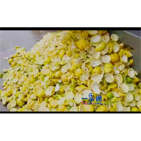 5.5kw Pineapple Industrial Juicer Machine Multi - Function Orange Skin Separator