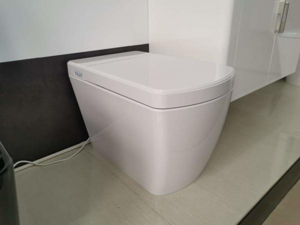 Electric Bathroom One Piece Toilet , Smart Bidet Toilet Female Washing