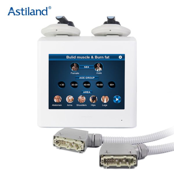 Tesla Ems уменьшая изготовитель машины от Китая