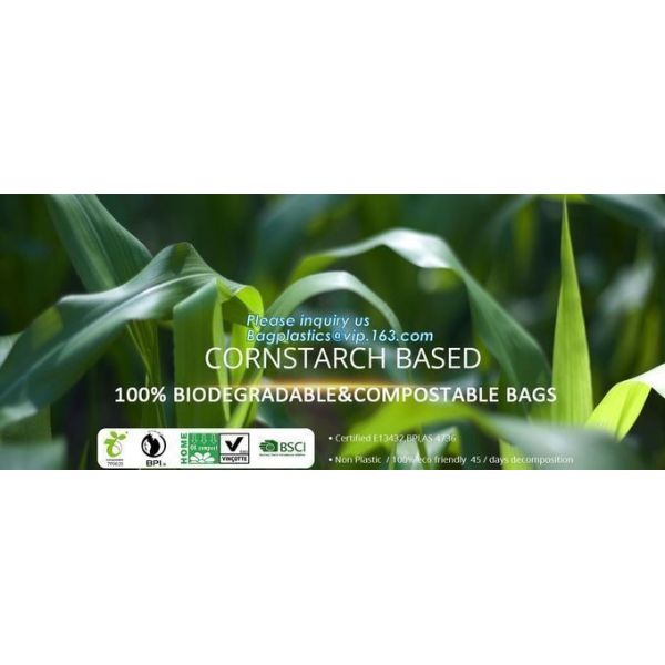 YANTAI BAGEASE COMPOSTABLE BAGS & PRODUCTS CO.,LTD.