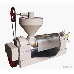 Coconut Oil Press  Screw Oil Press Machine Groundnuts Oil Pressing