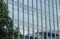 Construction personnalisée de murs de rideau en verre isolé