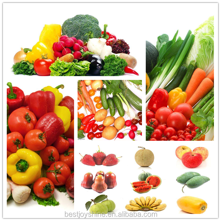 Tomato Washing Machine With Water Filtration System 304 Stainelss Steel Material