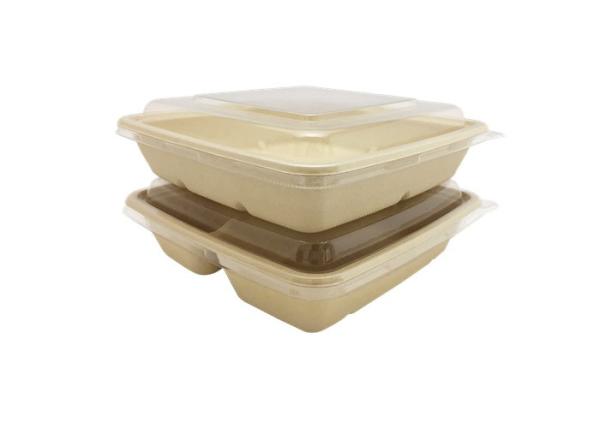 9 inch Outdoors Takeaway Food Containers Disposable Lunch Biodegradable Container