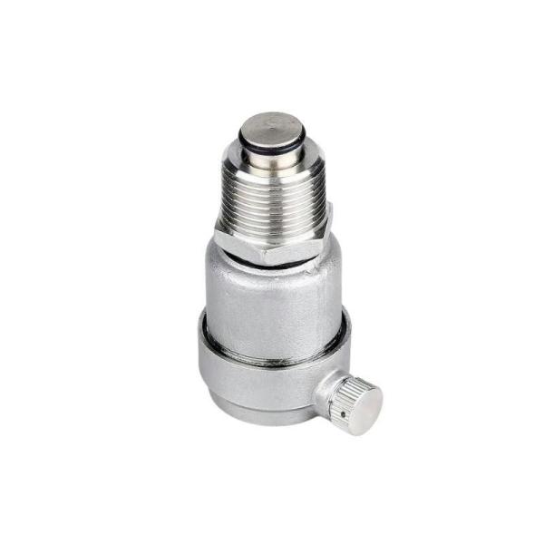 304 Stainless Steel Automatic Quick Exhaust Valve Model NO. ZP-11 for Water Treatment