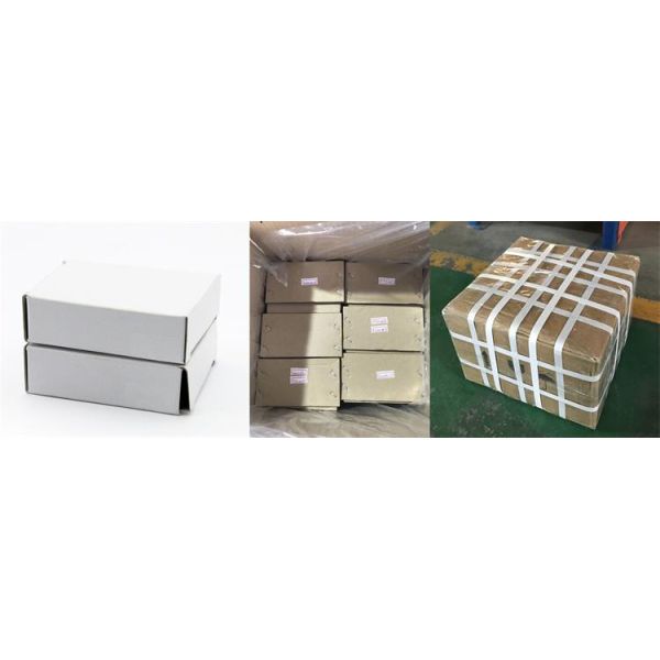 103.96mm Outer Diameter One Way Clutch Bearings for Machinery DC8729A Sprag Type Freewheel Cage