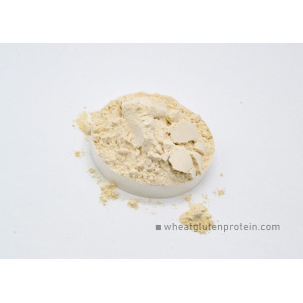 Dried Wheat Gluten Powder, Physical Extraction Natural Protein