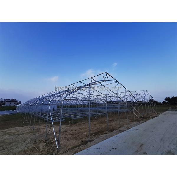 Film Covered Greenhouse Hydroponics System Agricultural DWC Hydroponics System