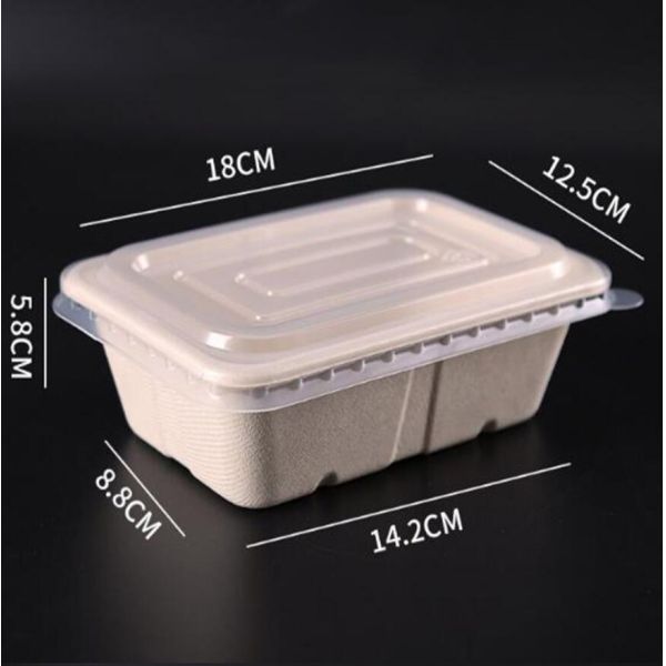 Square Eco Friendly Biodegradable Sugarcane Pulp Lunch Box 100% Compostable