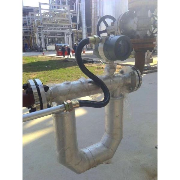 Measuring Gas  RS485 HART Water Proof  IP67 Factory Coriolis Mass Flowmeter
