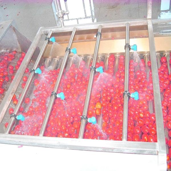 Linha de produção tipo de poupança de energia da pasta de tomate de SUS316 50Hz