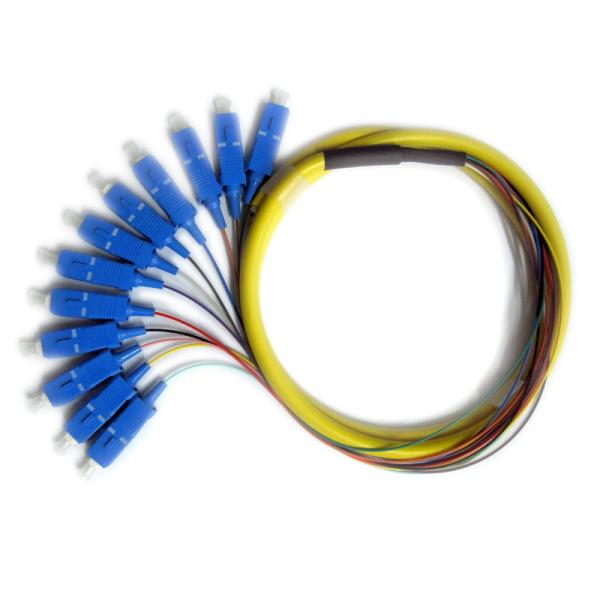 12 Core SC 3mm Fiber Optic Pigtail , Single Mode / Multimode Pigtail