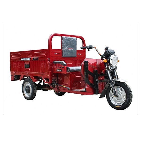 Solar Panel Electric Tricycle Adults with Max Speed 25-35km/h and 48v/60v-20A Battery