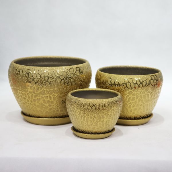 Stylish And Functional Ceramic Pots For Gardening And Landscaping Needs