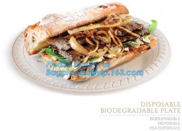 Online Shopping 10 Inch Biodegradable Disposable Sugarcane Bagasse Party Plate,Sugarcane Bagasse Paper Plate/Compostable