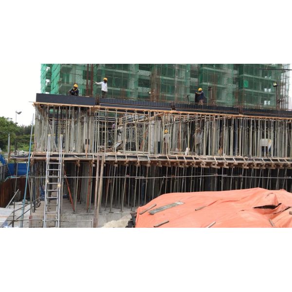 12mm Poplar Phenolic Faced Plywood For Building Construction