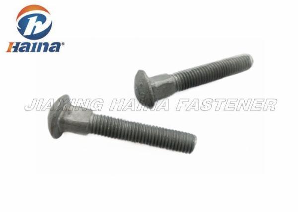 Customized HDG Long Square Neck Large Carriage Head Bolt