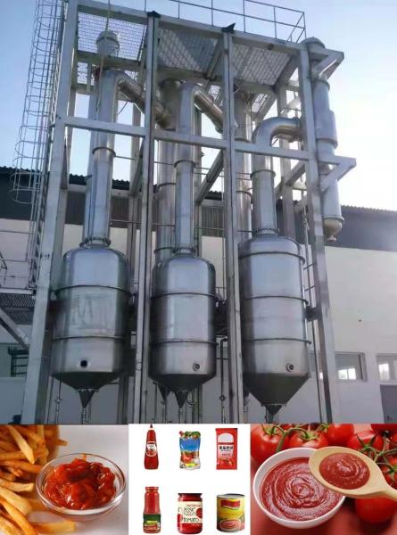 Fabrica de processamento de pasta de tomate de 35000 kg ideal para produção em larga escala