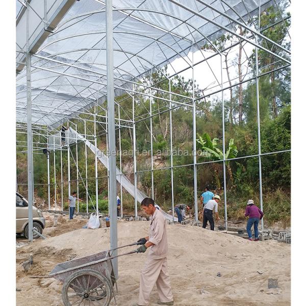 NFT System Tomato Growing Greenhouse With PVC Pipe Channel And Film Cover