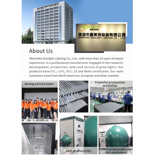 Aluminum Alloy 12w Full Spectrum Led Grow Lights Ce Rohs Small Plant Lamp Bar