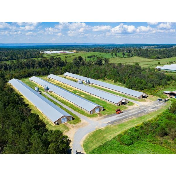 Окрашенная стальная конструкция птицекомнат