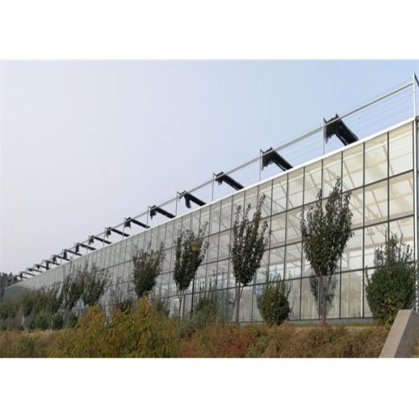 Modern Design Agricultural Glass Greenhouse 3m - 6m Side Height Long Service Life