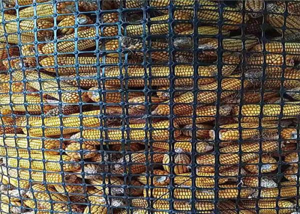 Glass Fiber Honeycomb Geogrid Fabric For Retaining Walls Road Stabilization Gravel