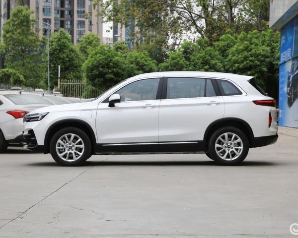 Raysince good quality electric suv vehicle wholesales cheap price China electric vehicle new suv