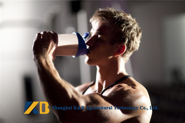 Food Grade 80% Hydrolyzed Brown Rice Protein Nutrition Daily Fitness Use