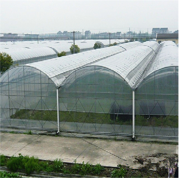 Agricultural Multi Span Greenhouse Strong Structure For Tomato Planting