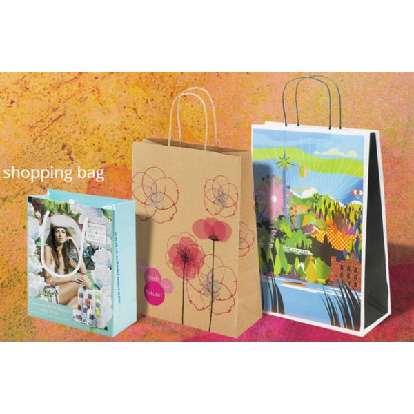 Luxury Foldable Custom Logo Printing Tote Carrier Christmas Gift Paper Bag With Flat Bottom,carrier handle luxury wine b