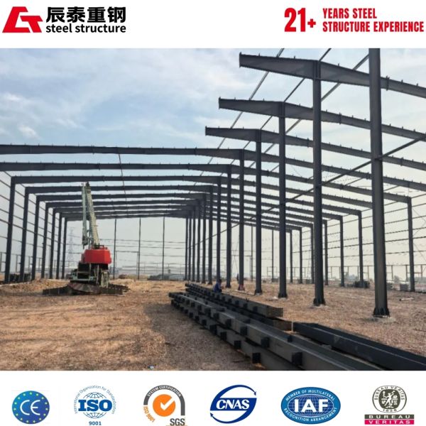 China Export Single Layer Size Customization Steel Structure For Warehouse