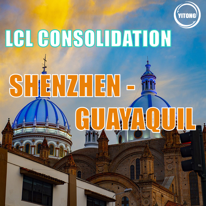 Shenzhen To Guayquil LCL International Shipping Sea Freight Service 30 days