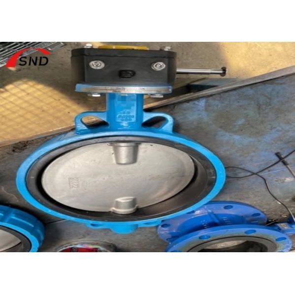 2500LB Bf Butterfly Valve Customized Ductile Iron Wafer Butterfly Valve