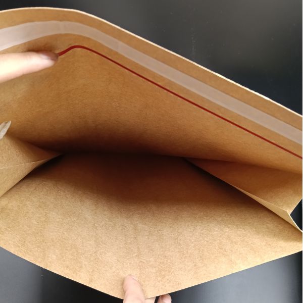 Sac de papier pur d'annonce de joint auto-adhésif favorable à l'environnement recyclable pour le vêtement
