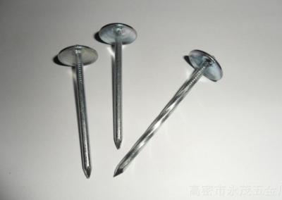 Umbrella Head Galvanized Roofing Nails , Twisted Shank And Plain Shank Roofing Nails