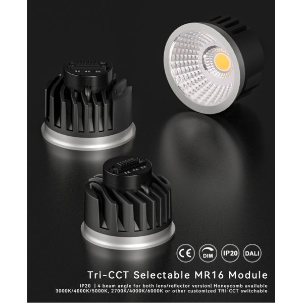 MR16 Module 3000K/4000K/5000K COB LED 6W for Commercial Lighting