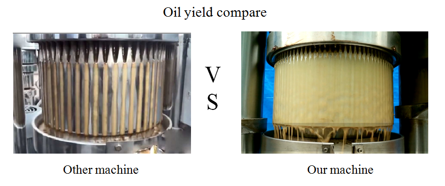 Factory Big Capacity Use Palm/sesame/ Olive/Coconut Hydraulic Oil extraction Machine