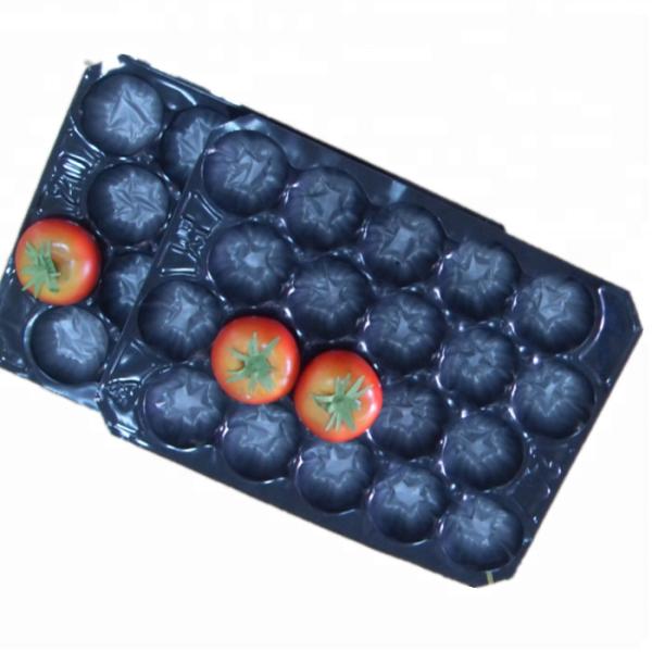 15LB 30g 0.11mm Thickness Tomato Protective Packing Plastic Trays for Fresh Fruit and Vegetable Best Selling Canada and Mexico