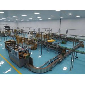 Robotic Case Packer