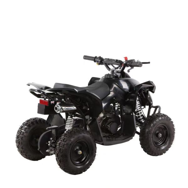 Mini ATV 49cc Quad Bike for Kids and Adults Fuel Gas/Diesel Unequipped Differential Lock